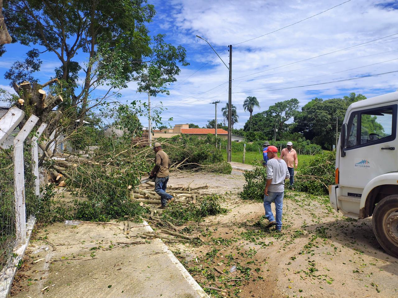 Prefeitura realiza poda de árvores e limpeza no Estádio Municipal Adelino José de Paula
